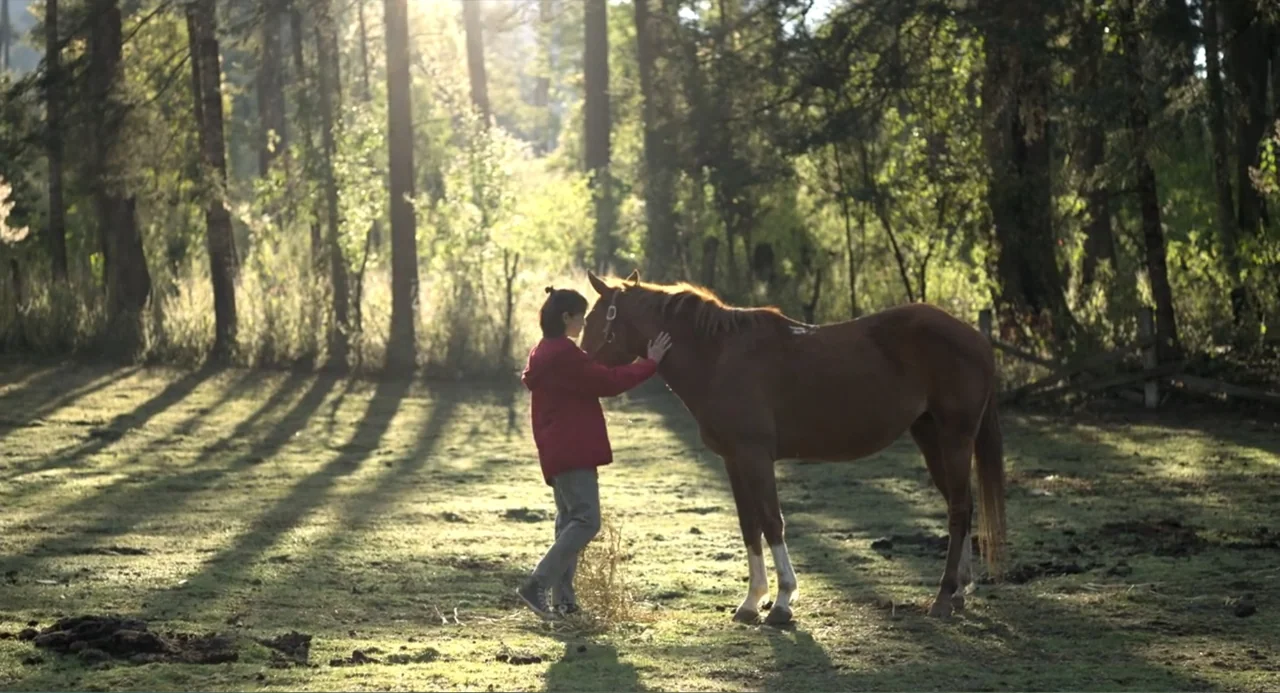 Heartbeat (2008) movie still: fullbody — A grassy field with a backdrop of tall pine trees and long shadows. A small child in a red jacket gently…