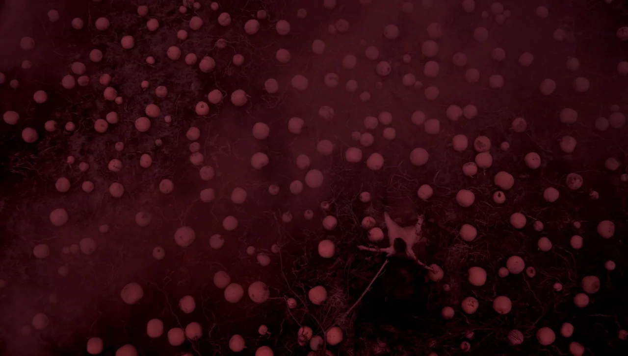 Hellions (2015) movie still: establishing — A dark field filled with dozens of harvested pumpkins scattered across the soil. Low-lying red haze…
