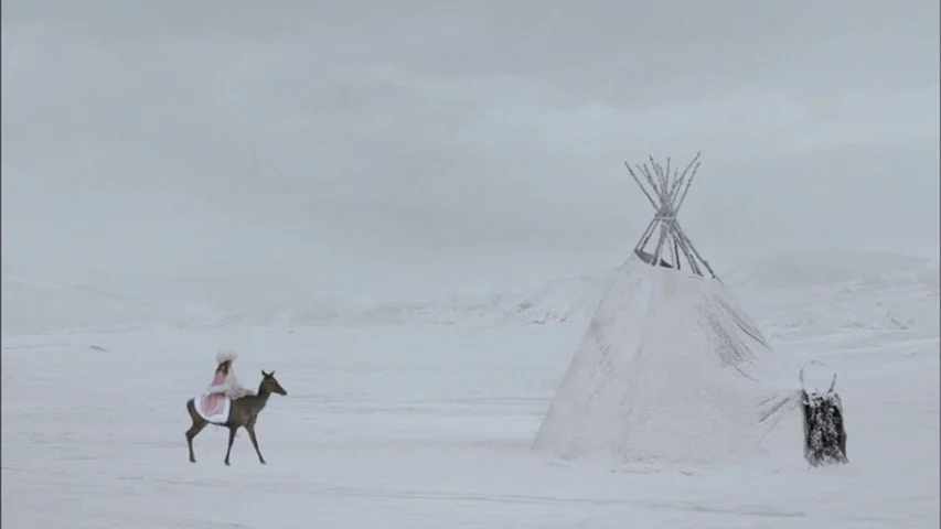The Sleeping Beauty (2010) movie still: wide — A desolate expanse of snow stretches to the horizon under a pale, overcast sky. A person in a pink…