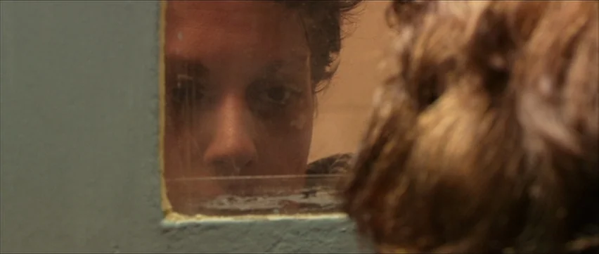 Bubble (2005) movie still: closeup — A man gazes through a thick, smudged glass window set within a colored partition. He stares forward at an…