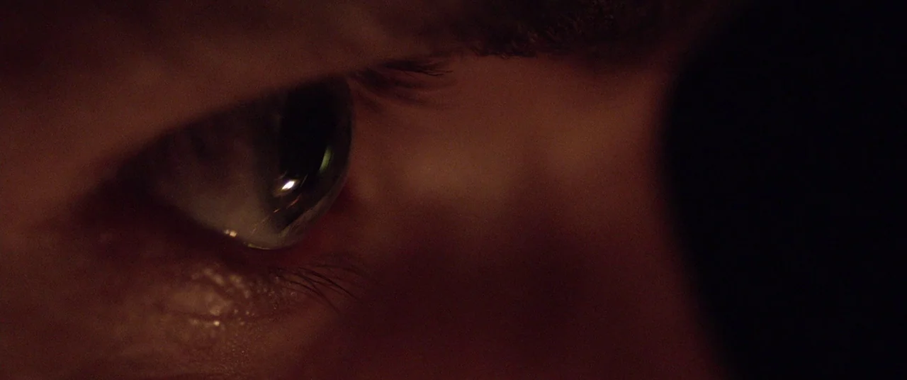The Survivalist (2015) movie still: closeup — A dark, indistinct environment frames the extreme closeup of a human eye. The eye remains fixed as the…