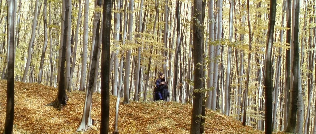 House of Flying Daggers (2004) movie still: wide — A dense autumn forest filled with tall, straight trees and a thick layer of leaves. Two figures…