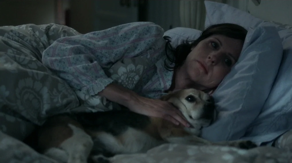 Year Of The Dog (2007) movie still: medium — A woman lies under patterned bedding in a dim room with pillows. She reaches out with her hand to…