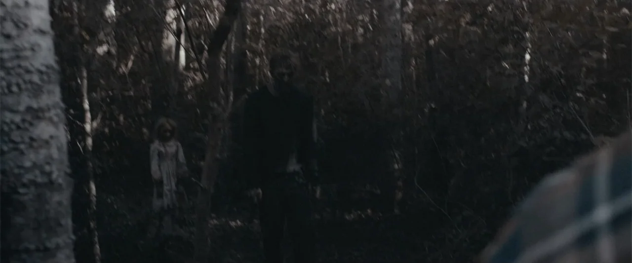Maggie (2015) movie still: wide — A dark wooded area with dense trees and sparse vegetation in low light. A man and a small child stand together…
