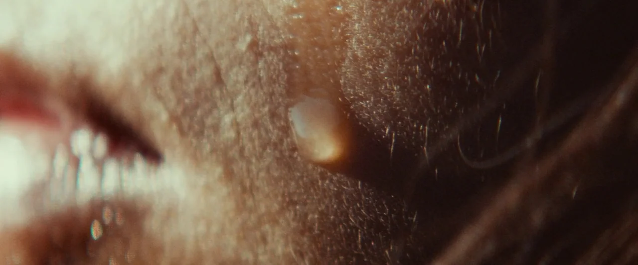 Animalia (2023) movie still: closeup — A close-up view shows a single drop of liquid resting on textured human skin. Fine hairs and pores are…