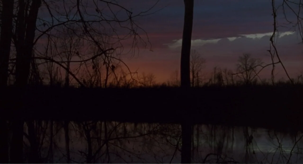 Forty Shades of Blue (2005) movie still: establishing — A dark swamp landscape with silhouettes of bare trees and branches against the sky. A calm…