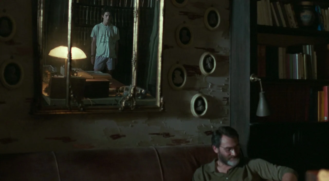 Call Me By Your Name (2017) movie still: medium — A dim room contains a wooden bookshelf filled with books and a wall covered in oval portraits. A…