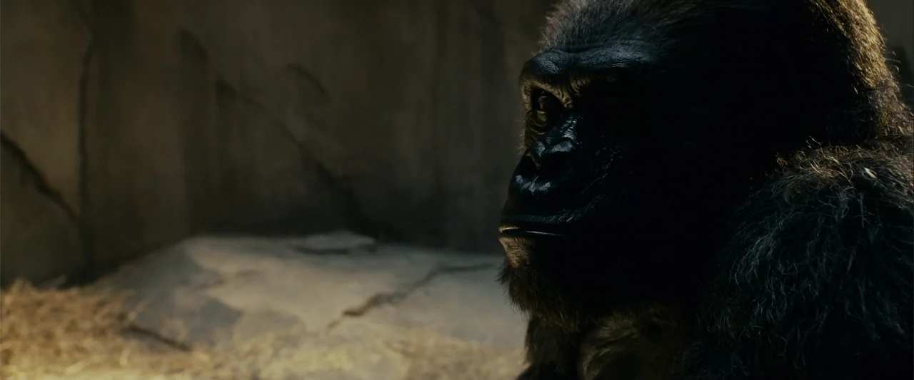 Zookeeper (2011) movie still: closeup — A dark rocky enclosure contains a patch of scattered straw on the floor. A silverback gorilla sits in…