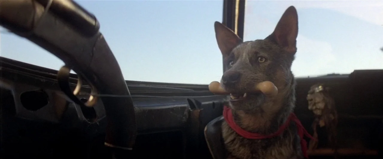 Mad Max 2 (1981) movie still: medium — The interior of a worn vehicle has a metallic steering column visible on left. A dog sits in the passenger…