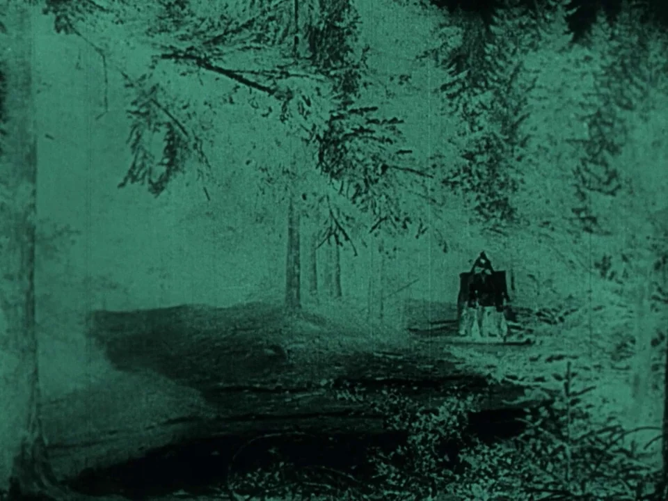 Nosferatu (1922) movie still: wide — A dense grove of pine trees stands under a dark tinted night sky. A small hooded figure sits near the base of…