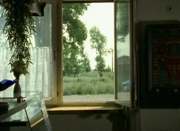 From The East (1993) movie still: establishing — A white-framed window looks out onto a grassy meadow with scattered trees. The interior space…