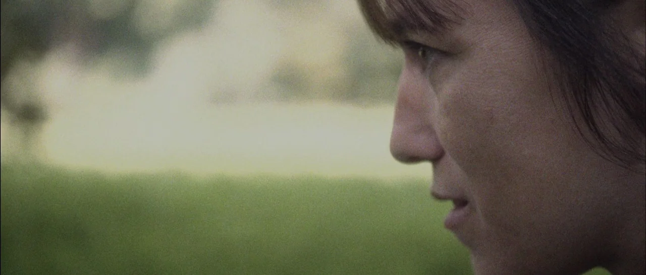 Nymphomaniac Vol 2 (2013) movie still: closeup — An outdoor setting with a blurred green landscape in the background. A woman in profile view faces…