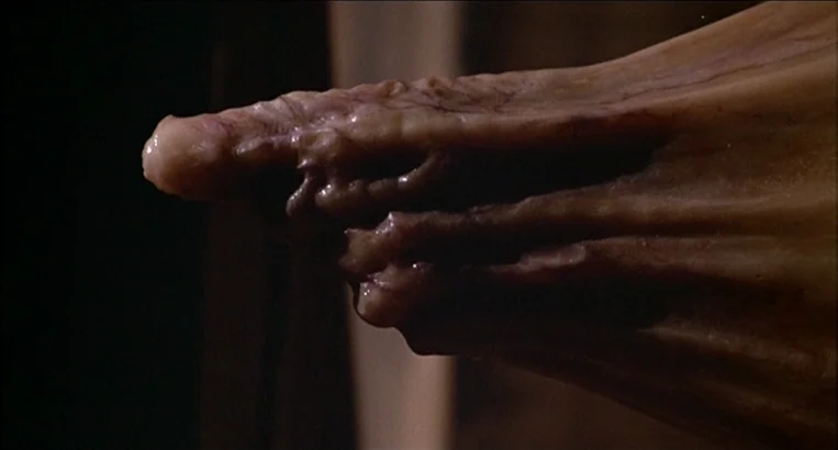 Videodrome (1983) movie still: closeup — A close-up view shows a pale, fleshy organic structure with thick, vein-like textures. The surface is bumpy…