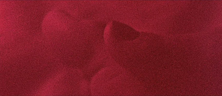 This Movie Is Broken (2010) movie still: closeup — A field of textured dark red material with visible grain and subtle tonal variation. No…