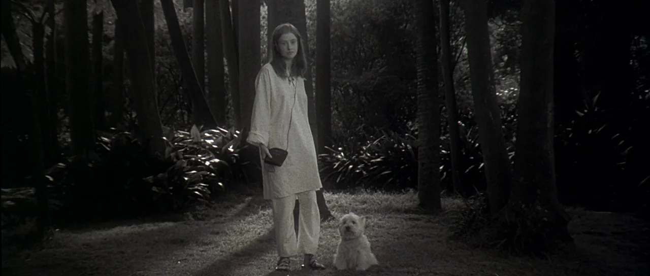 The Portait of a Lady (1996) movie still: fullbody — A woman stands in a dark clearing surrounded by tall trees and dense foliage. She remains…