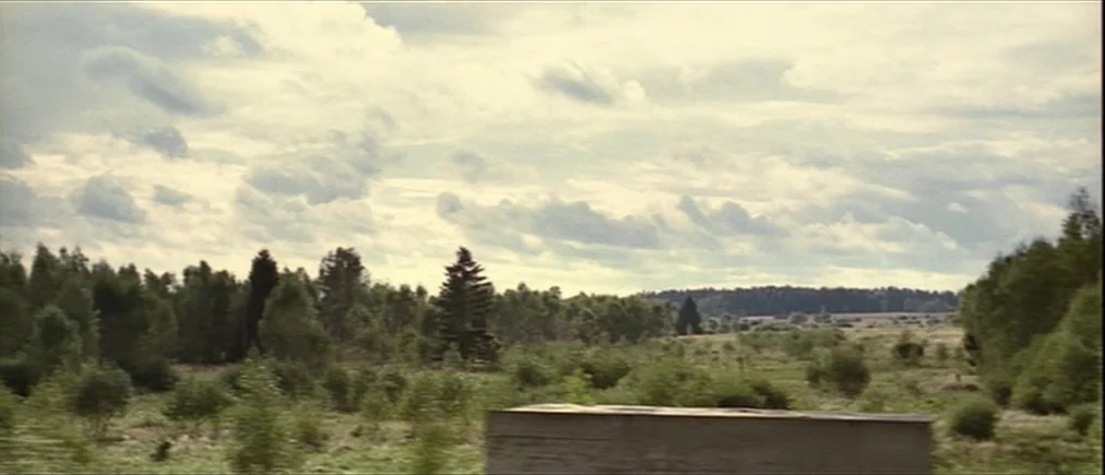 Time Of The Wolf (2003) movie still: establishing — A wide meadow stretches toward a dense tree line under a cloudy sky. The horizon is filled with…