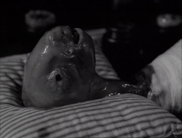 Eraserhead (1977) movie still: closeup — A dark laboratory features a mysterious biological specimen resting on a striped pillow. The deformed…