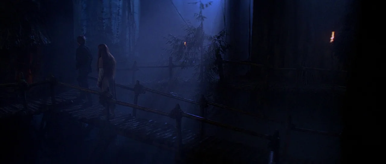 Return Of The Jedi (1983) movie still: wide — A wooden rope bridge spans a dark, foggy chasm in a dense, dark forest. A man and woman stand on the…