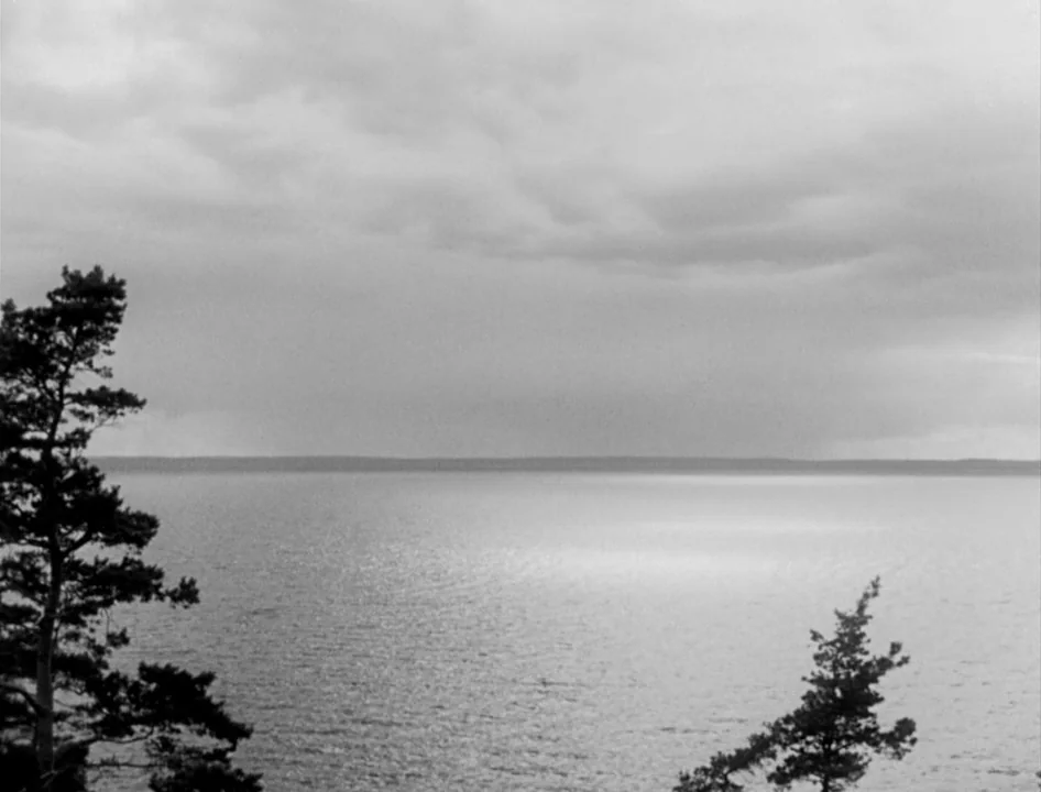 Wild Strawberries (1957) movie still: establishing — A wide expanse of a lake stretches toward the horizon under heavy gray clouds. Two pine trees…
