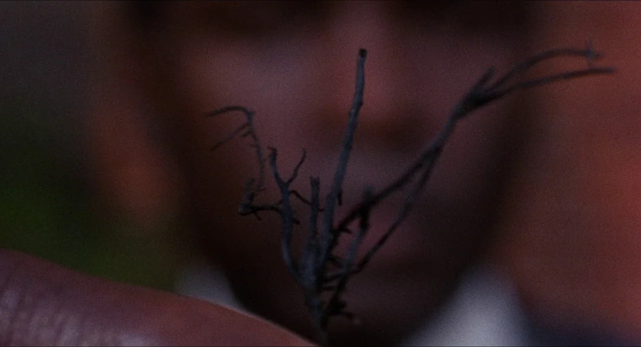 In the Heat of the Night (1967) movie still: closeup — A close-up shot focuses on a small, dark, branch-like object held in fingers. A blurred face…
