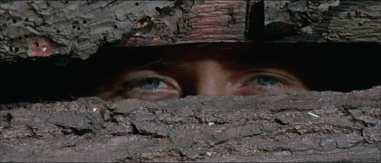 The Grand Duel (1972) movie still: closeup — A close view of human eyes peering from behind rough, splintered wooden logs. The eyes gaze forward…
