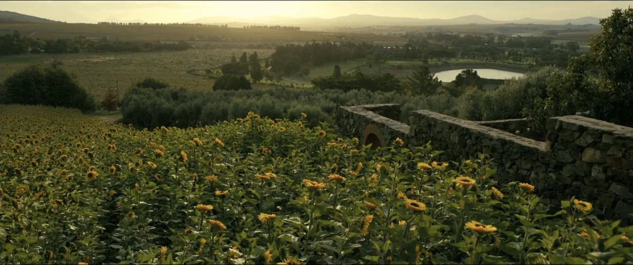 My Spy The Eternal City (2024) movie still: establishing — A vast field of sunflowers sits before a stone wall and rolling countryside. The distant…