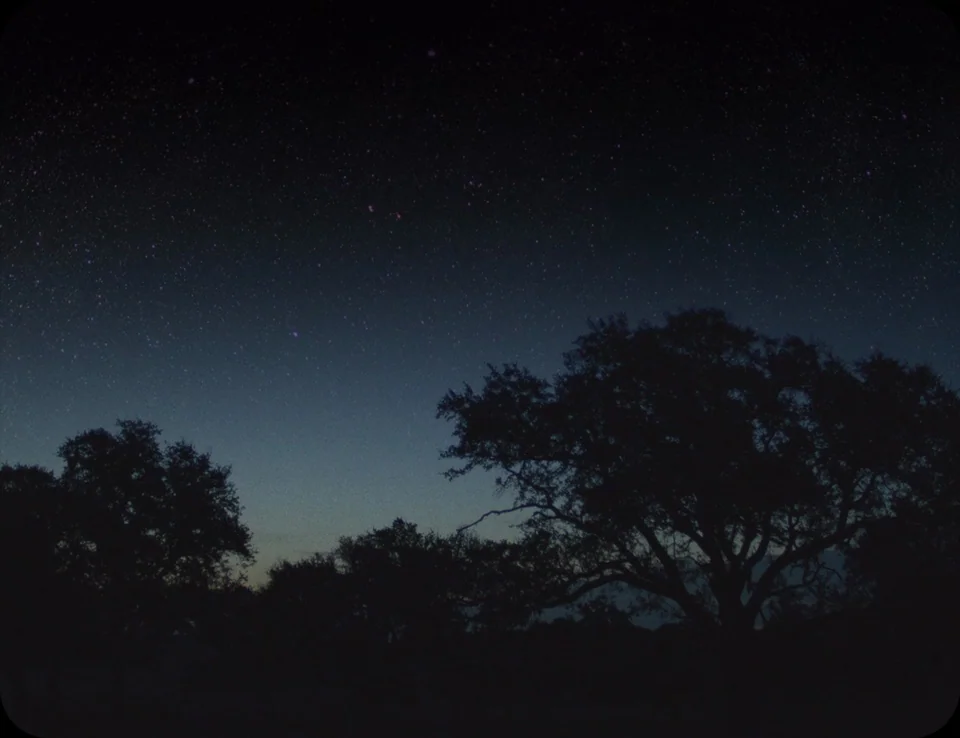A Ghost Story (2017) movie still: establishing — Silhouetted tree shapes stand against a dark sky filled with visible stars at night. No figures are…