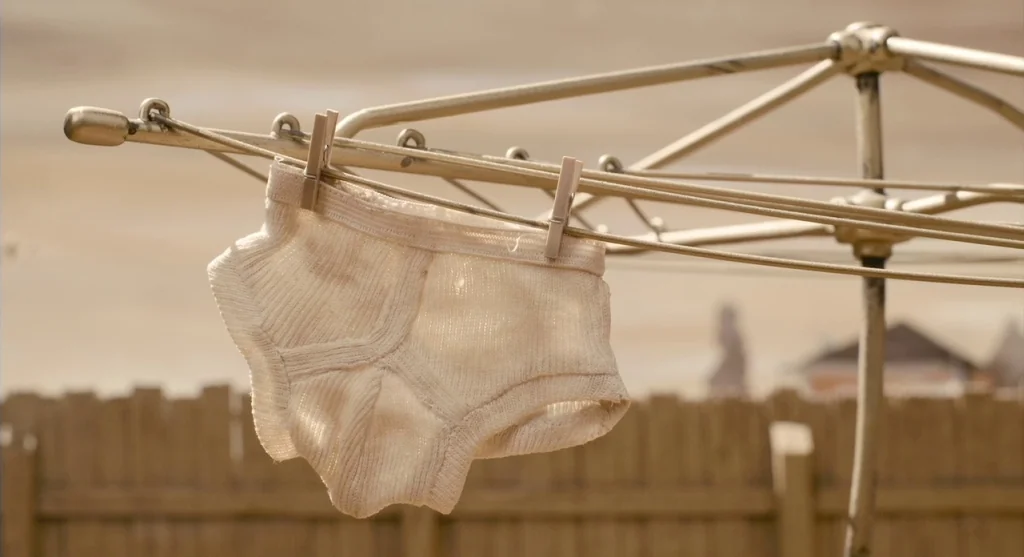 Mary & Max (2009) movie still: closeup — A pair of white men's briefs hangs on a metallic outdoor rotary washing line. The background shows a wooden…