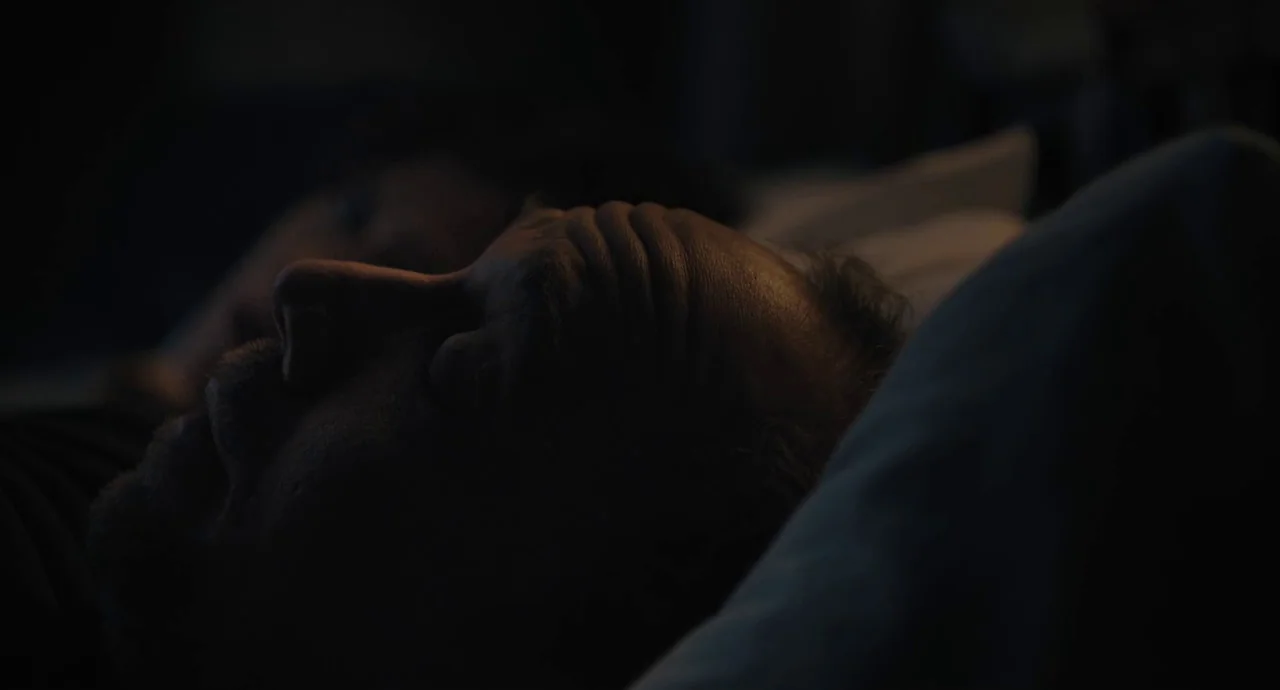 Private Life (2018) movie still: closeup — A dark bedroom at night with a person resting on a pillow. A middle-aged man lies in profile with his…
