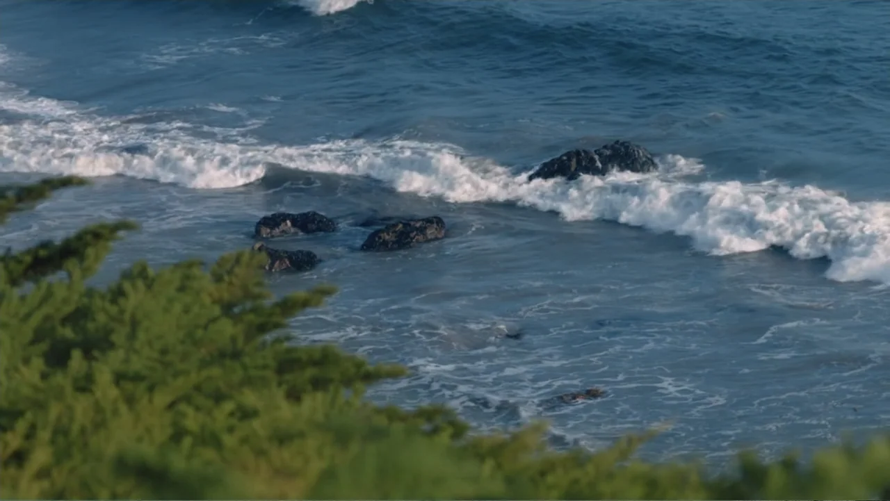 Between the World and Me (2020) movie still: establishing — A view of the ocean shoreline featuring dark rocks amid rolling waves and white foam.…