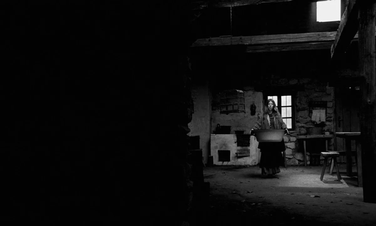 The Turin Horse (2011) movie still: wide — A rustic, sparsely furnished cottage interior with stone walls and wooden structural beams. A young woman…