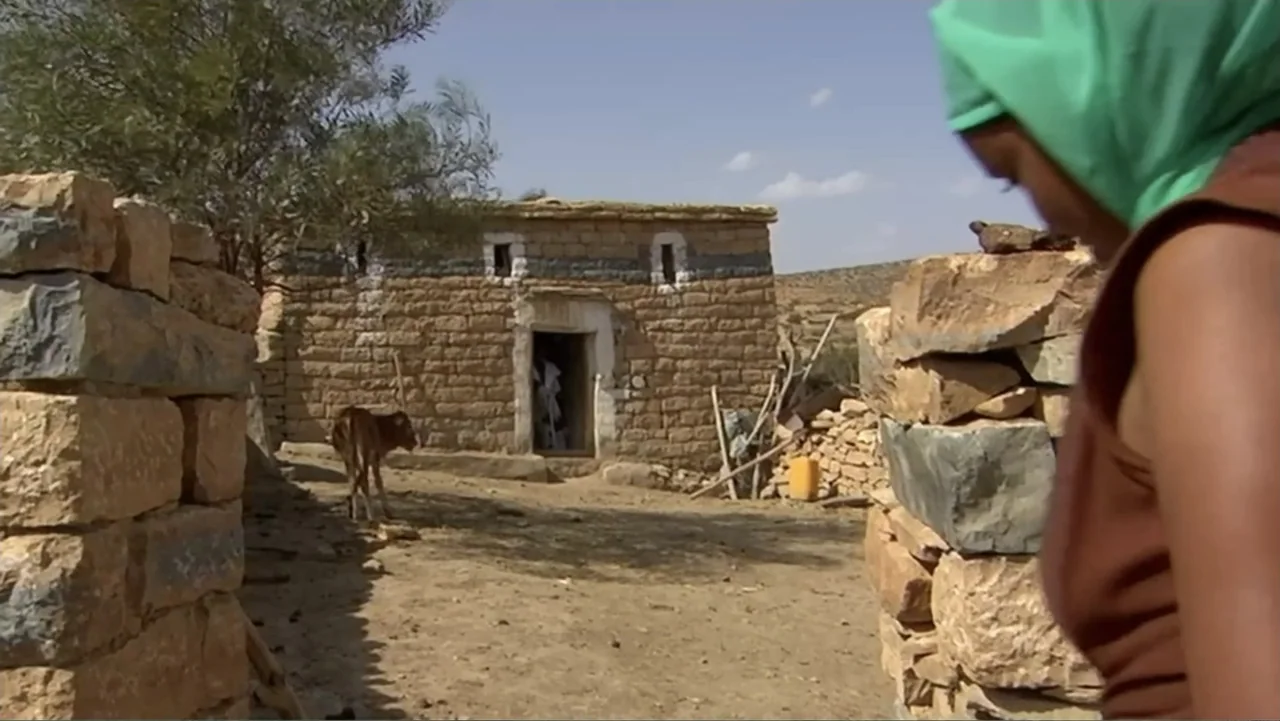 Sister (2014) movie still: medium — An exterior view of a simple stone house with a flat roof in a desert. A person stands in the foreground…