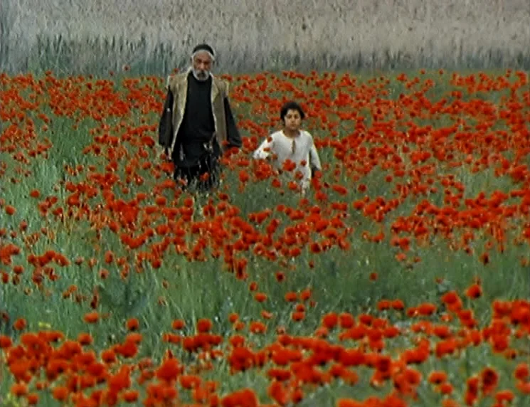 The Wishing Tree (1977) movie still: wide — A field filled with red poppies leads up to a textured stone wall. An older man walks alongside a young…
