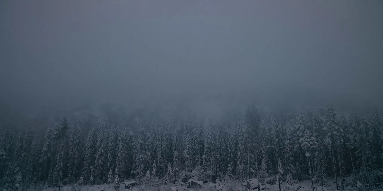 Midsommar (2019) movie still: establishing — A dense coniferous forest is blanketed in heavy snow under an overcast sky. Thick fog obscures the…