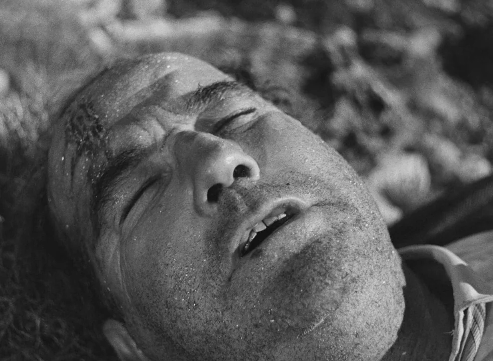 Il Bidone (1955) movie still: closeup — The face of a man rests on a textured surface of grass and dirt. He lies with eyes closed in direct outdoor…