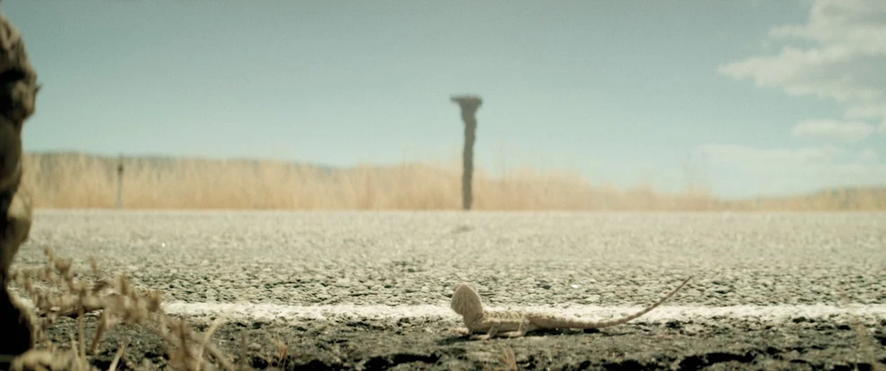 The Endless (2017) movie still: closeup — A small lizard rests on the coarse, gray asphalt of a desert highway. Dry yellow grass grows along the…