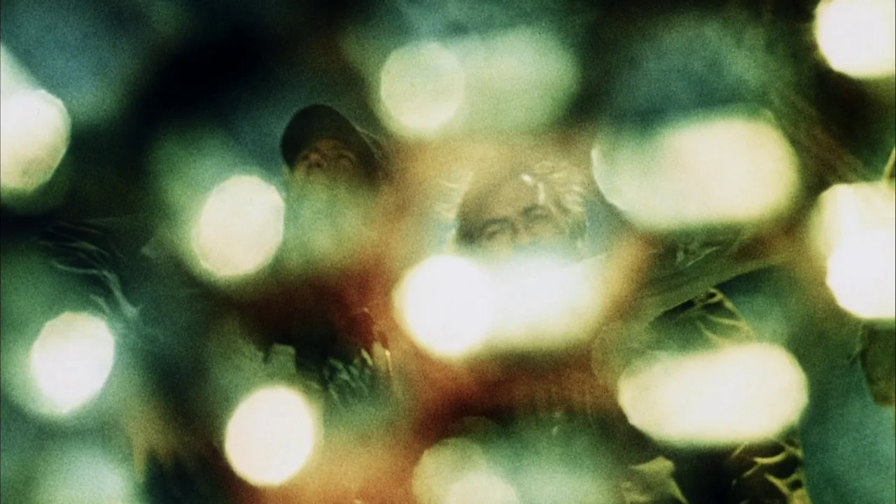 Phase IV (1974) movie still: medium — Two men stand together at night amidst a field of large, out-of-focus light orbs. The subjects are partially…