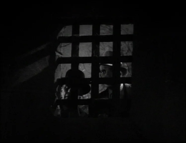Dracula (1931) movie still: medium — A dark, cramped enclosure features a window obstructed by thick iron bars. Two men stand behind the metal…