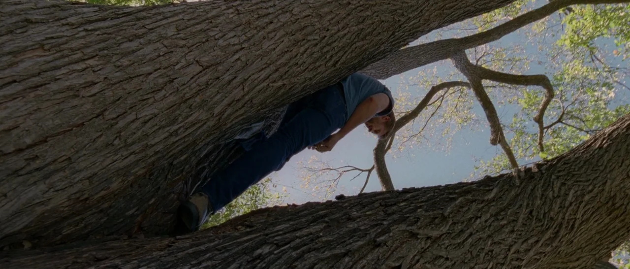 Song to Song (2017) movie still: fullbody — A man stands upright within the narrow V-shaped space formed by two thick tree trunks. He gazes downward…