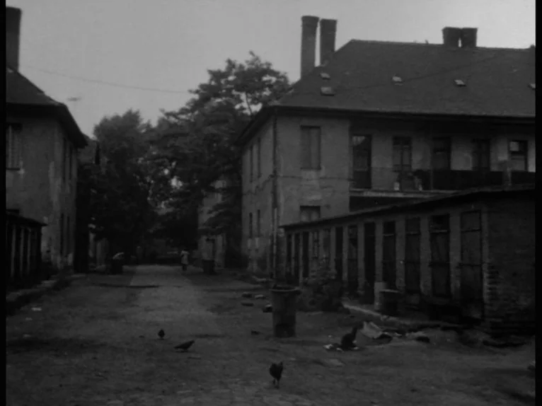 Family Nest (1979) movie still: establishing — A desolate courtyard between old, multi-story masonry buildings with numerous small storage sheds.…