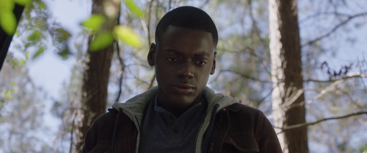Get Out (2017) movie still: closeup — A dense forest setting with tall pine trees in the background. A young man stands in the foreground looking…