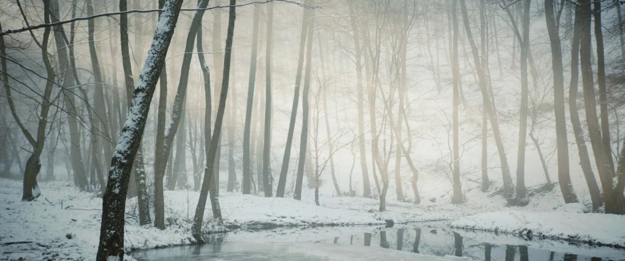 On Body and Soul (2017) movie still: establishing — A dense, snowy forest with bare trees surrounds a partially frozen, still stream. Thick fog…