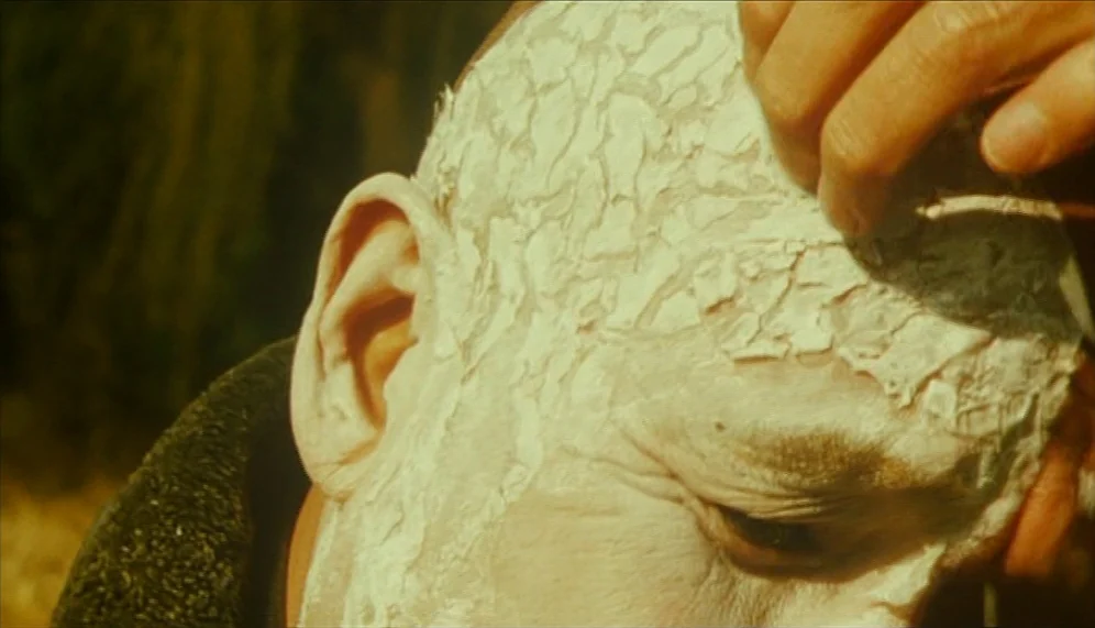 Gozu (2003) movie still: closeup — A close-up view focuses on a head coated in dry, flaky white material. A hand touches the surface of the white…