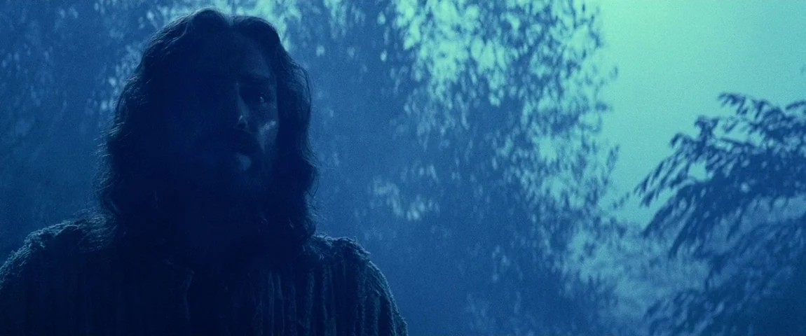 The Passion of the Christ (2004) movie still: medium — A man with long hair stands in a dark forest at night. The foliage is blurred in the…