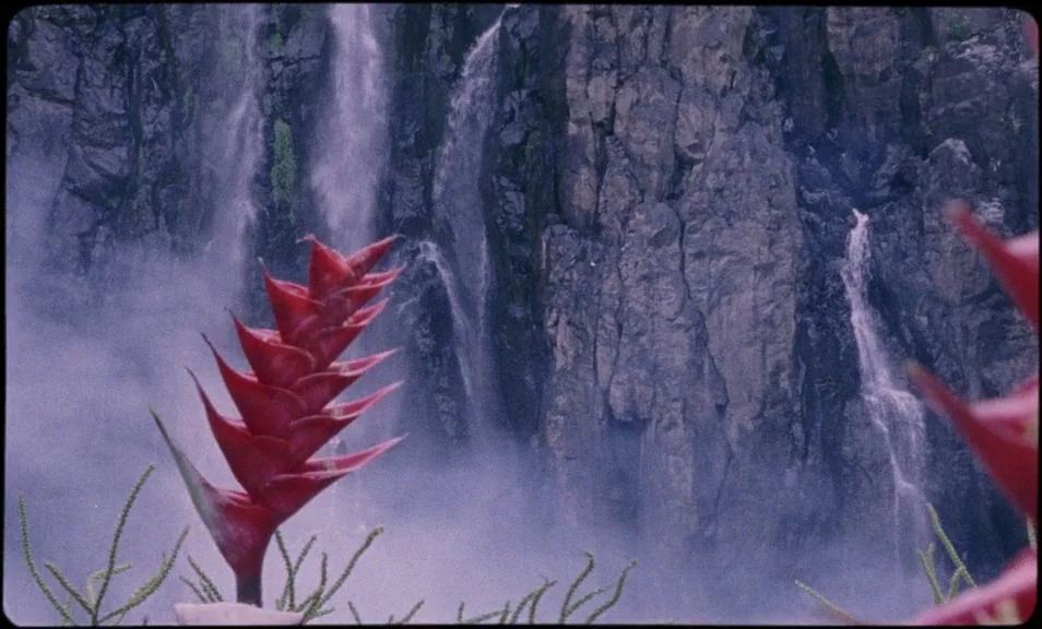 The Wild Boys (2017) movie still: closeup — A vibrant red heliconia flower grows in the foreground before a massive, misty waterfall. Multiple thin…