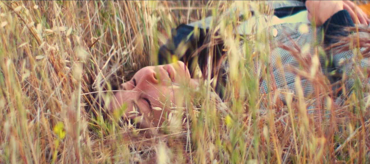 Fuzzy Head (2023) movie still: closeup — A person lies amidst dry, golden stalks of tall grass in a sun-drenched field. The individual rests with…