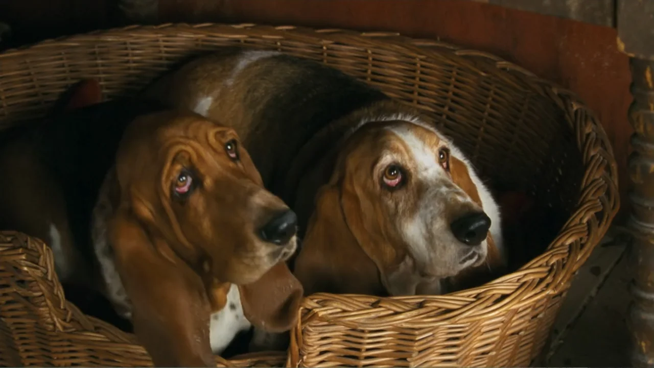 Nanny McPhee and the Big Bang (2010) movie still: medium — A woven wicker basket sits indoors containing two adult basset hounds. The dogs rest…