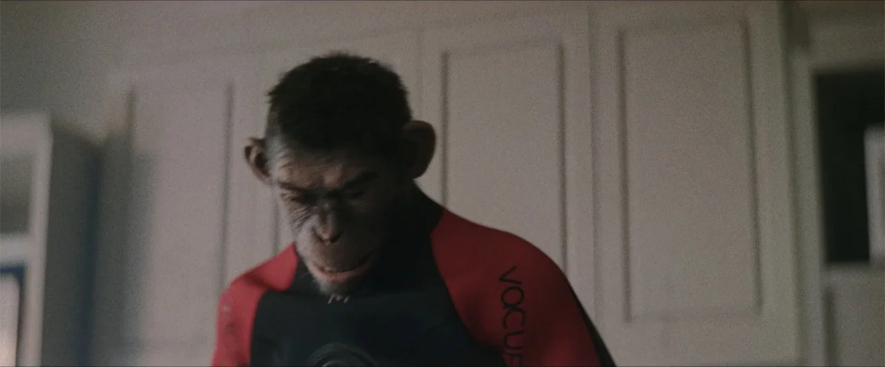 Better Man (2024) movie still: closeup — A domestic kitchen interior with plain cabinets in the background. A chimpanzee wears a fitted wetsuit…