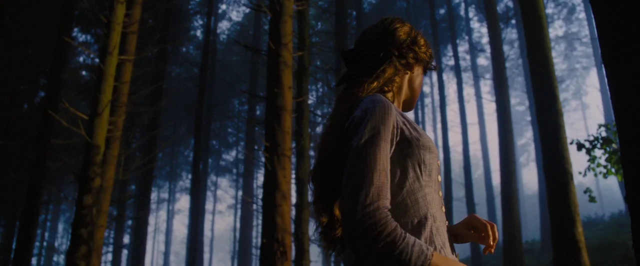 Far from the Madding Crowd (2015) movie still: medium — A dense, misty pine forest features rows of dark vertical tree trunks. A young woman in a…