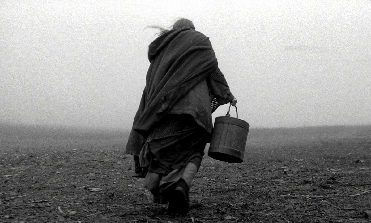 The Turin Horse (2011) movie still: fullbody — A desolate, muddy field is covered in a thick, pervasive morning fog. A lone person in a dark cloak…